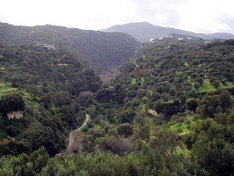 Mili gorge - Image 1