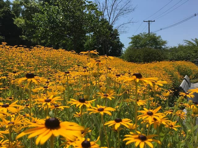 Caperton Trail Park - Image 3
