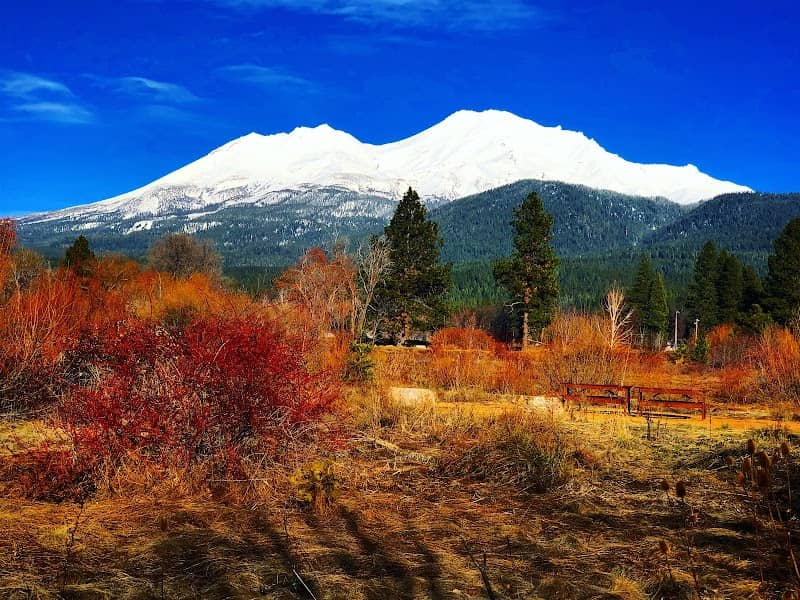 Sisson Meadow - Image 2