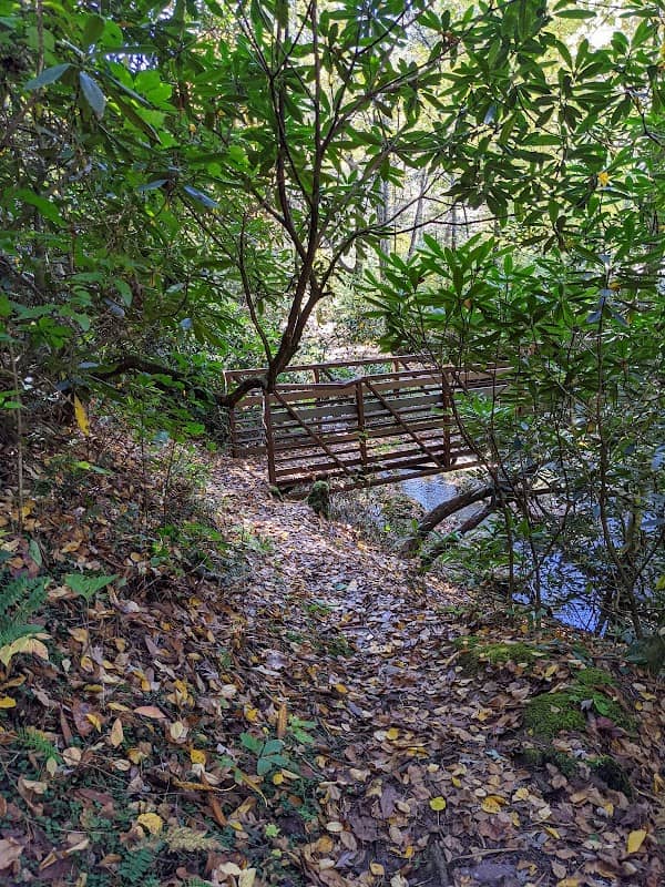 Bristol Trail #76 - Image 1