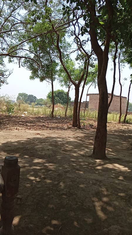 Ambedkar Park Kasidaha - Image 1