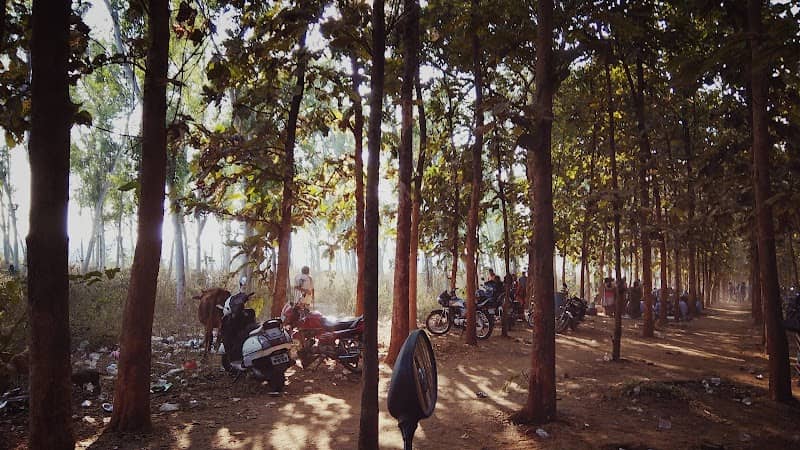 ଲାଗୁନ୍ ଉଦ୍ୟାନ Lagoon Park - Image 1