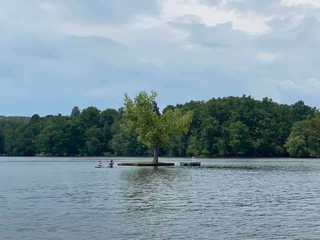 One Tree Island - Image 1
