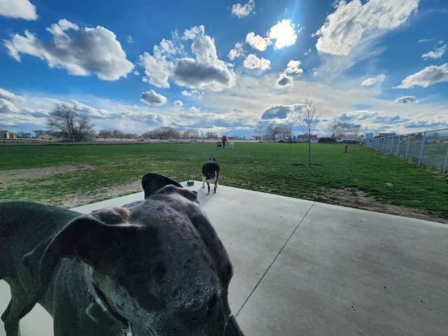 Bark Park - Image 1