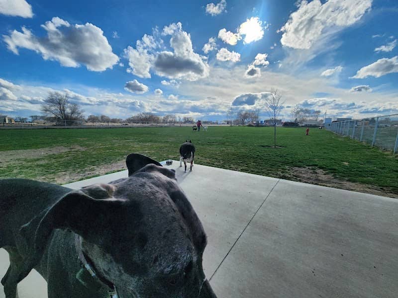 Bark Park - Image 1