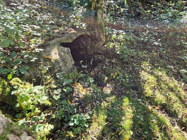 Quelle Renzeborn - Image 1