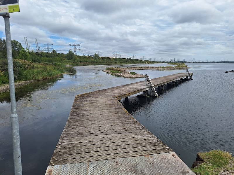 Slag Baardmannetje oostvoornse meer - Image 2