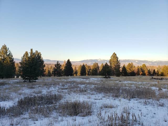 Whitetail Park - Image 1