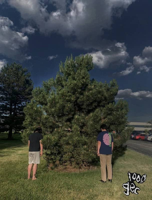 100 Gecs Tree - Image 1