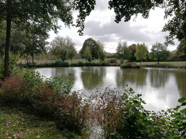 Martinsweiher - Image 1