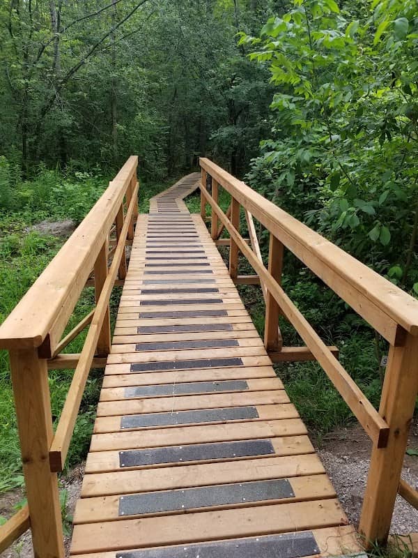 Maitland Woods - Image 1