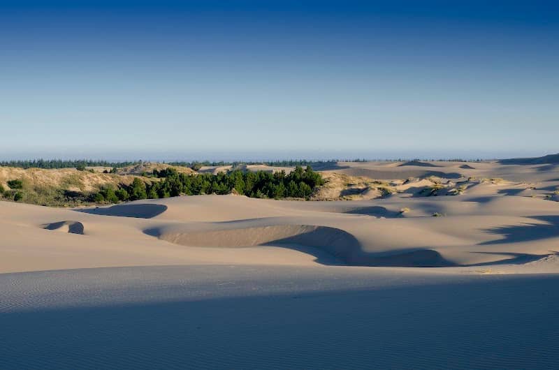 Oregon Dunes - Image 1