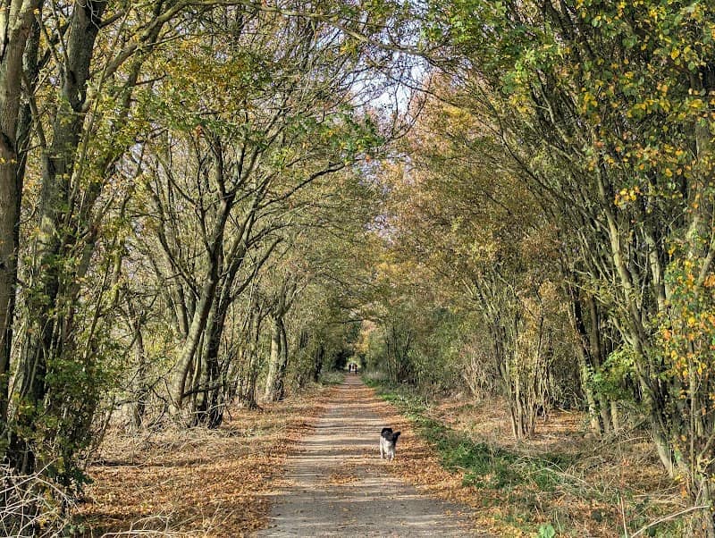 Flitch Way Country Park - Image 1