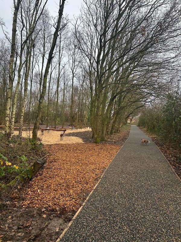 Finch Woods - Image 1