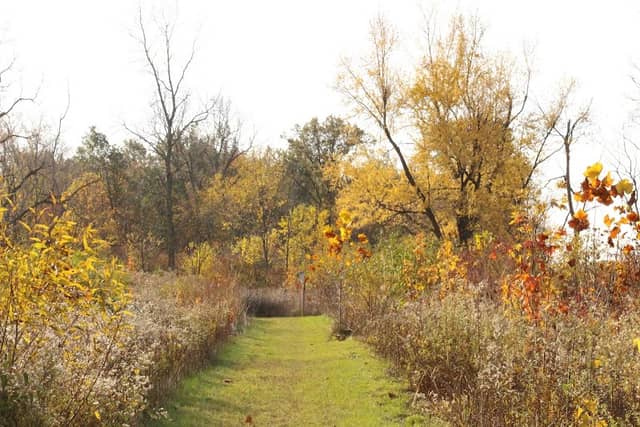 Black Swamp Preserve - Image 3