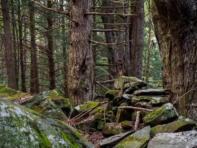 Oak Hill Wildlife Management Area - Image 1