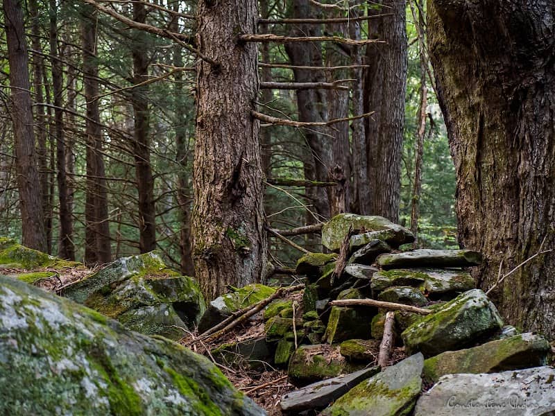 Oak Hill Wildlife Management Area - Image 1