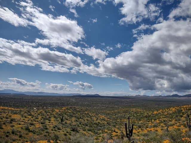 San Carlos Recreation & Wildlife - Image 1