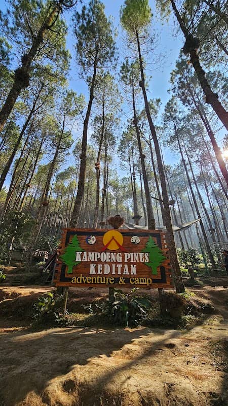 Kampung Pinus Keditan - Image 1