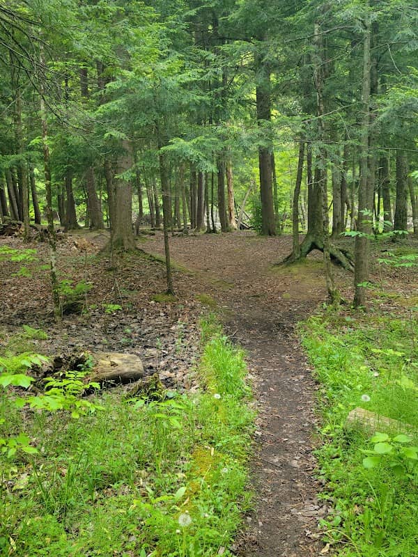 Platte Springs Pathway - Image 1