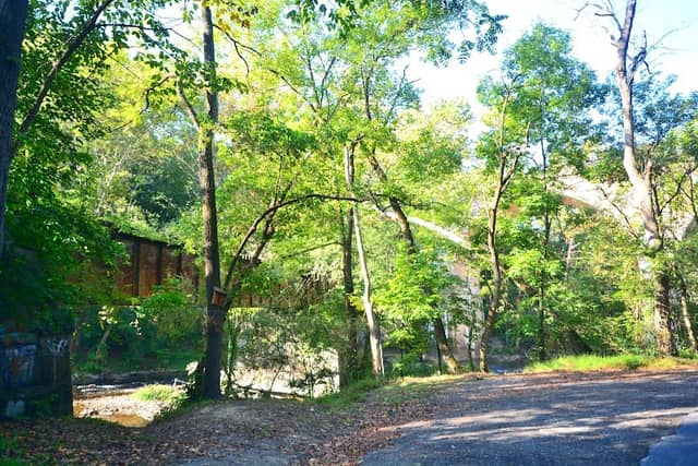 Rowlandsville Fishing Park - Image 1