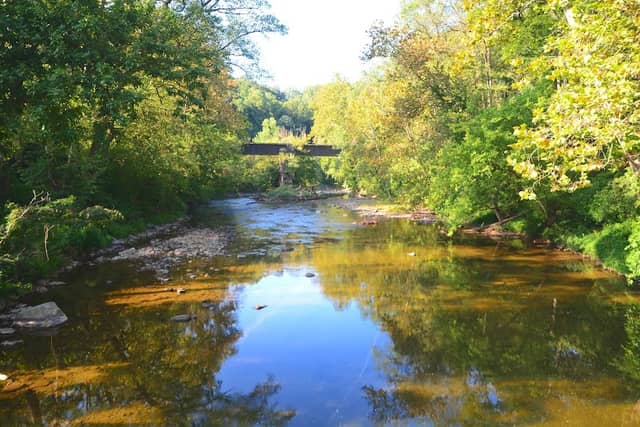 Rowlandsville Fishing Park - Image 2