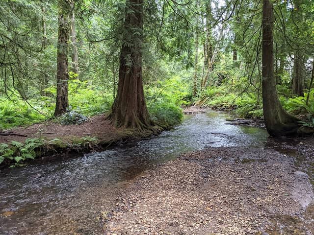 Knollwood Park - Image 2