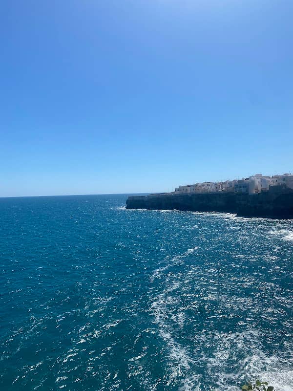 Viewpoint - Image 1