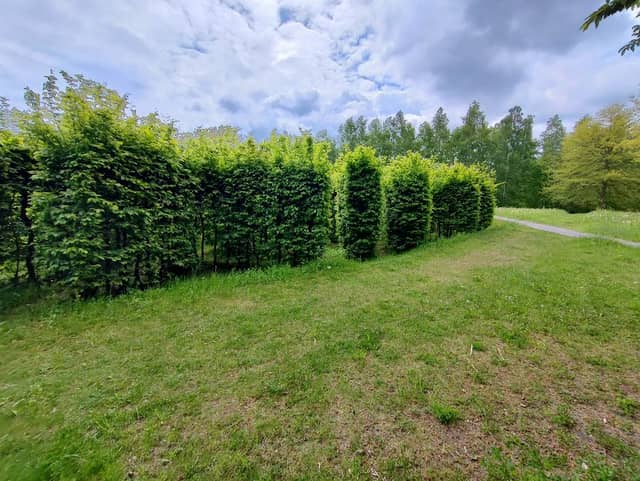 Labyrinth - Image 1