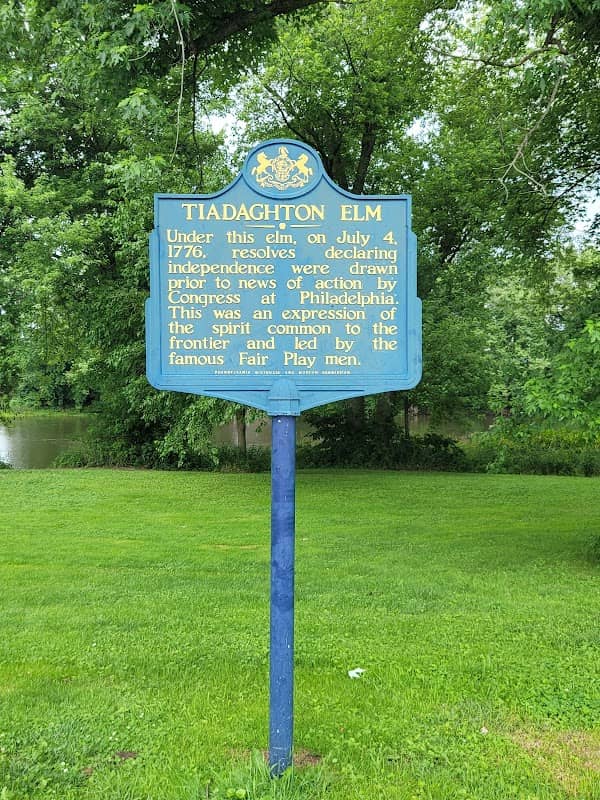 Tiadaghton Elm - Image 1
