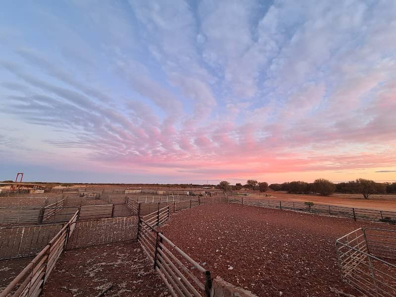 Mount Eba Station - Image 2