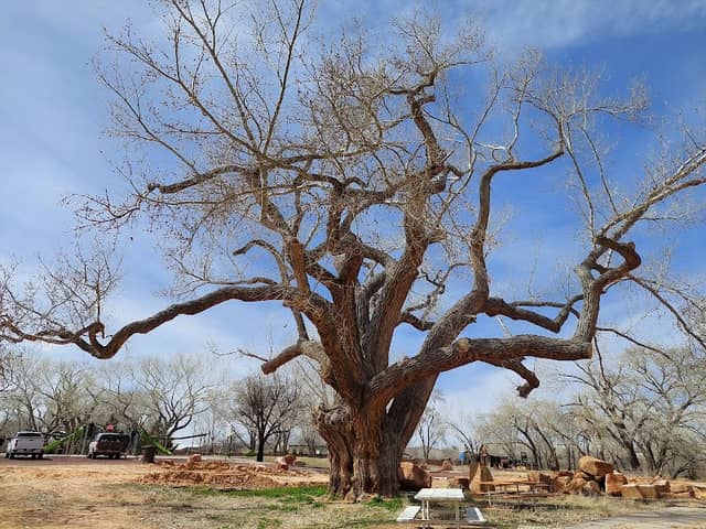 Cottonwood Park - Image 1