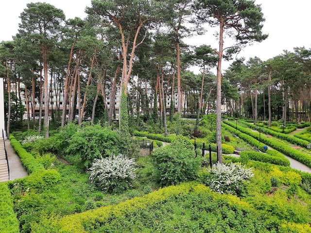 Park Zdrojowy - Image 1