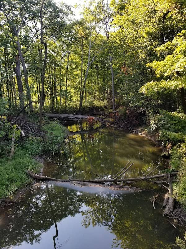 Warren Woods State Park - Image 3