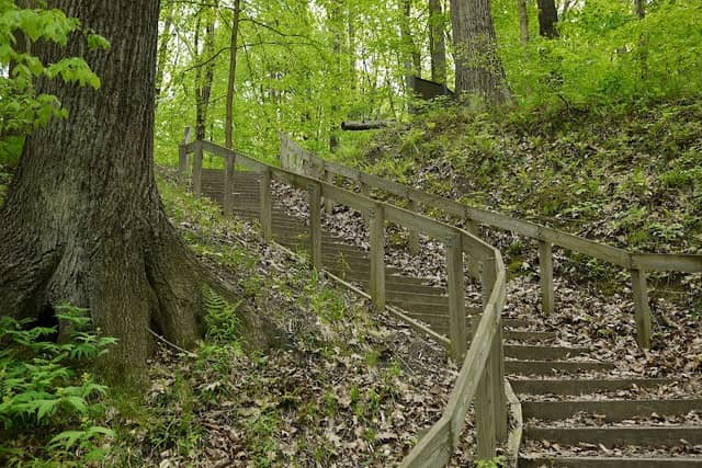 Warren Woods State Park - Image 1
