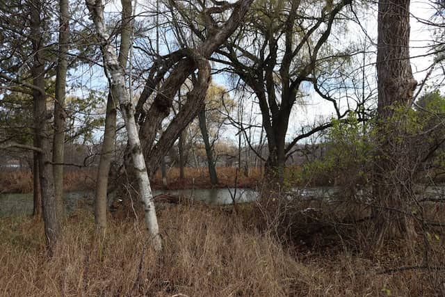 Fox Run Preserve - Image 2