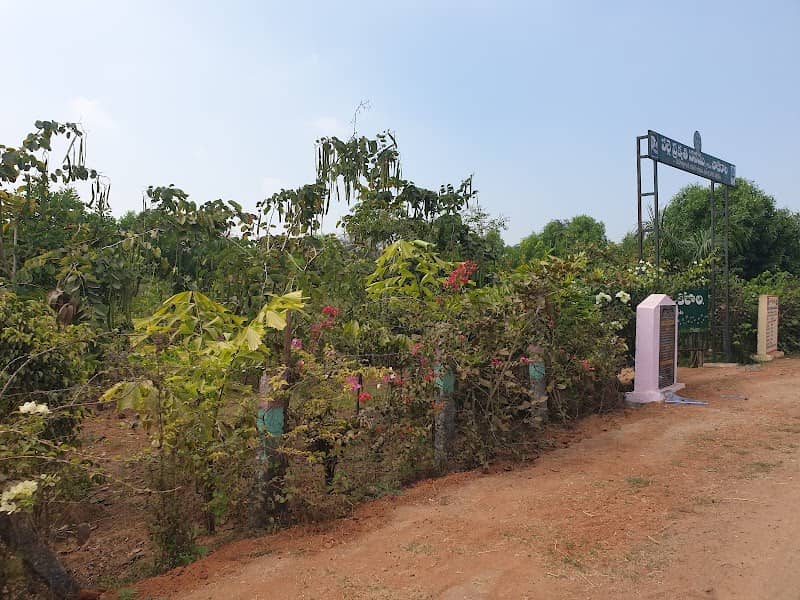 Chakirala Park - Image 1