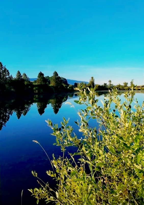 Bond Butte Pond - Image 2
