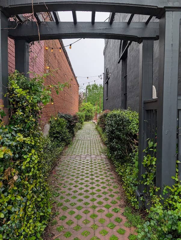 Senoia Alleyway - Image 2