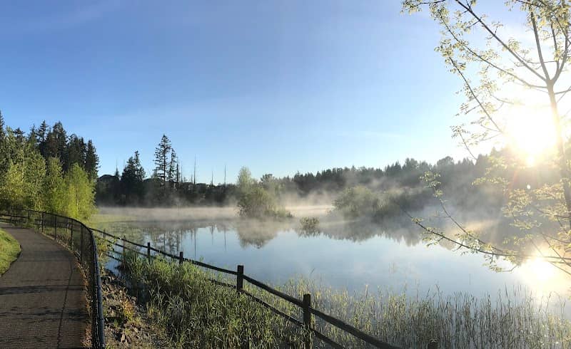 Illahee Pond - Image 2