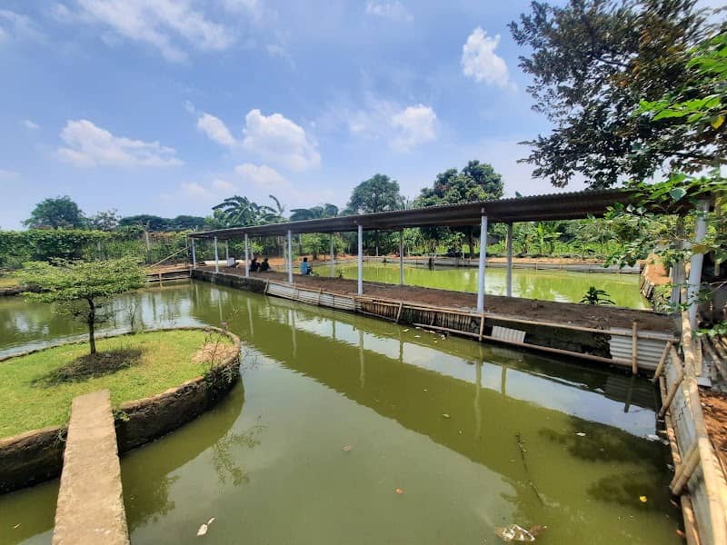 GENTA FARM - Image 1
