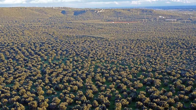 Monte Papa Ciro - Image 2
