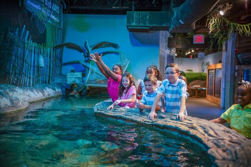 Catawba Science Center - Image 1