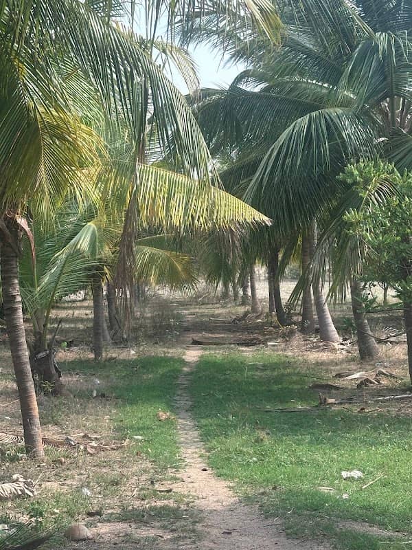 DMK THOTA - Image 1