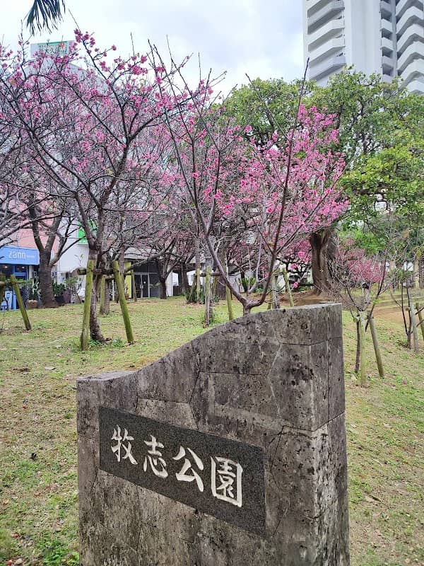 Makishi Park - Image 1