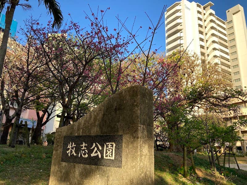 Makishi Park - Image 2