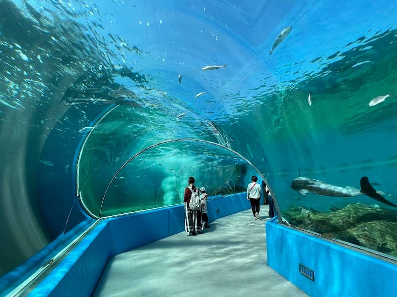 Notojima Aquarium - Image 1
