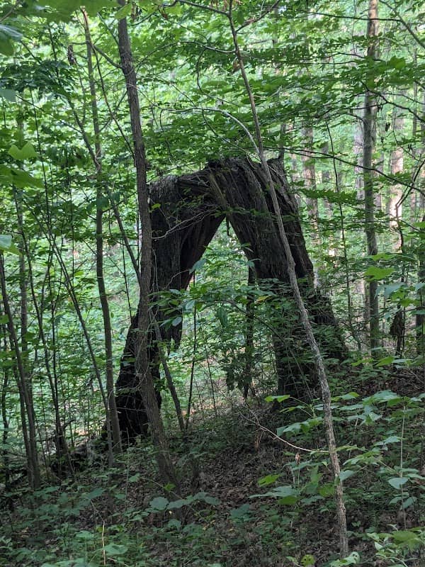 Twin Knob Trail Peak - Image 2