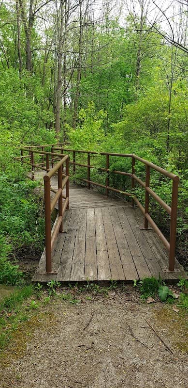 Blue Heron Boardwalk - Image 3