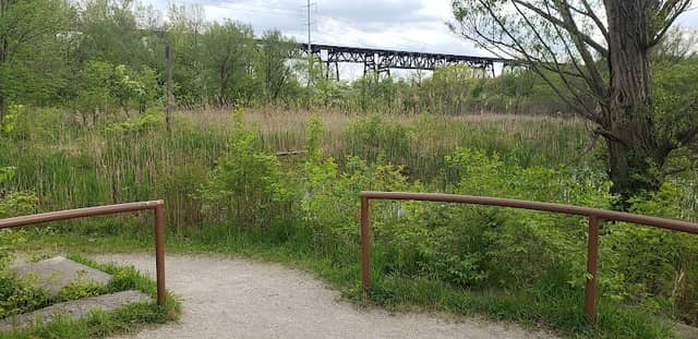 Blue Heron Boardwalk - Image 1
